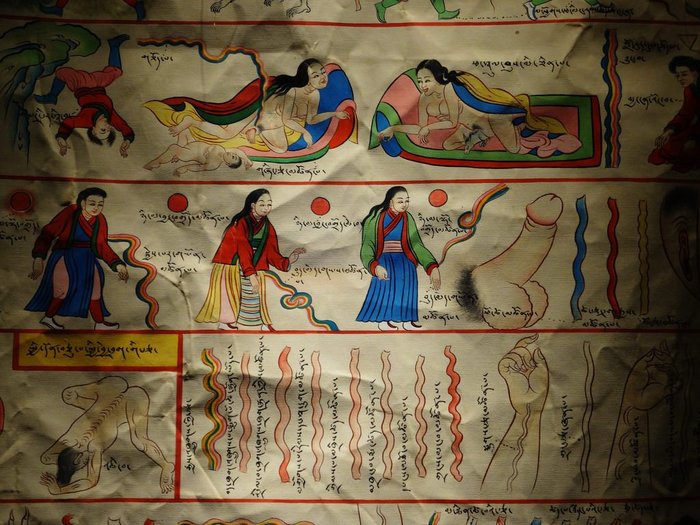 2714816_tibetanmedicine1 (700x525, 99Kb)
