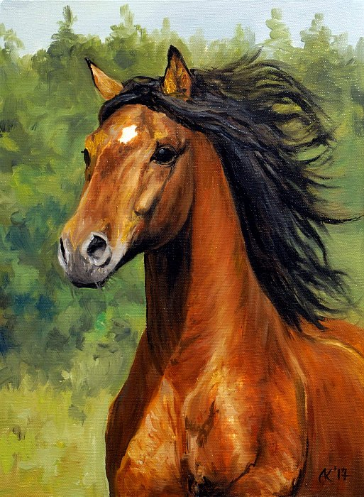 26 galop (513x700, 377Kb)