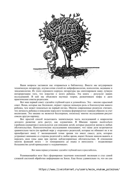 S_Amodt_S_Vong_Kak_razvit_mozg_rebyonka_chtoby_on_stal_umnym_i_uspeshnym_8 (494x700, 212Kb)