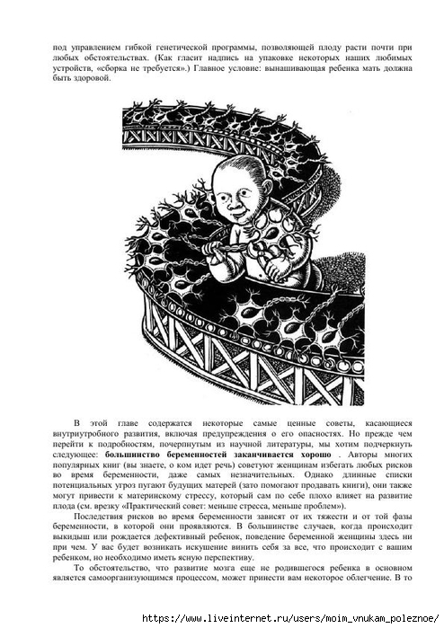 S_Amodt_S_Vong_Kak_razvit_mozg_rebyonka_chtoby_on_stal_umnym_i_uspeshnym_16 (494x700, 220Kb)