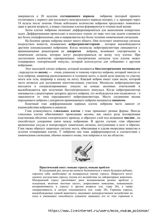 S_Amodt_S_Vong_Kak_razvit_mozg_rebyonka_chtoby_on_stal_umnym_i_uspeshnym_20 (494x700, 252Kb)