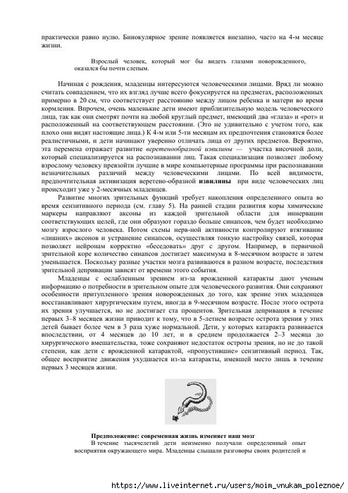 S_Amodt_S_Vong_Kak_razvit_mozg_rebyonka_chtoby_on_stal_umnym_i_uspeshnym_72 (494x700, 245Kb)