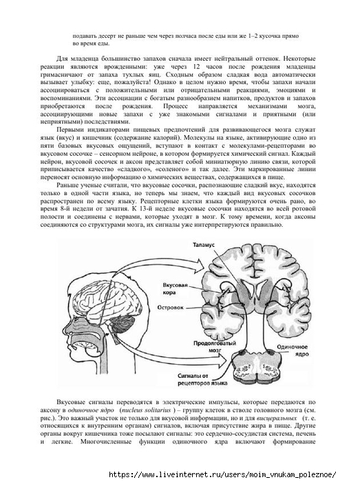 S_Amodt_S_Vong_Kak_razvit_mozg_rebyonka_chtoby_on_stal_umnym_i_uspeshnym_84 (494x700, 237Kb)