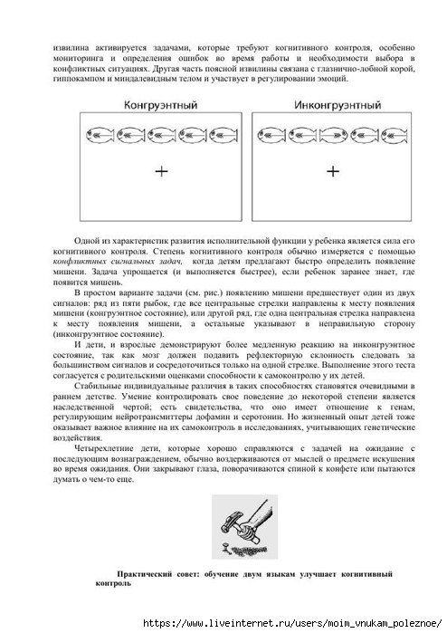 S_Amodt_S_Vong_Kak_razvit_mozg_rebyonka_chtoby_on_stal_umnym_i_uspeshnym_92 (494x700, 188Kb)