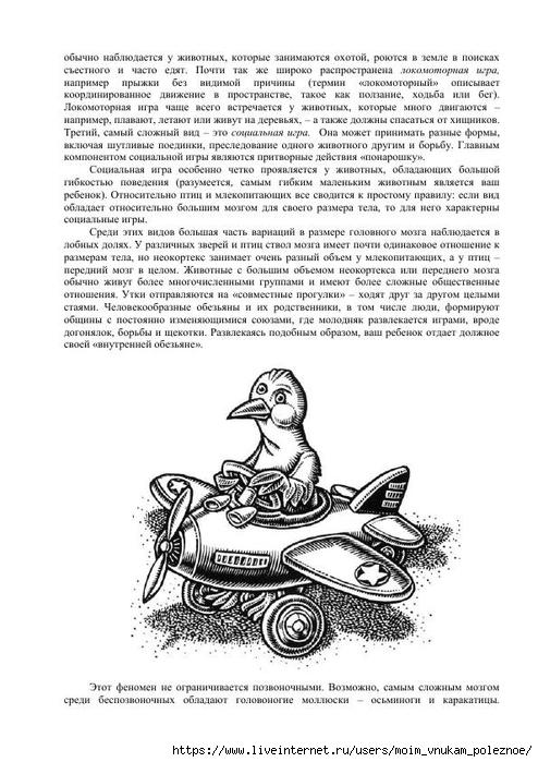 S_Amodt_S_Vong_Kak_razvit_mozg_rebyonka_chtoby_on_stal_umnym_i_uspeshnym_98 (494x700, 225Kb)