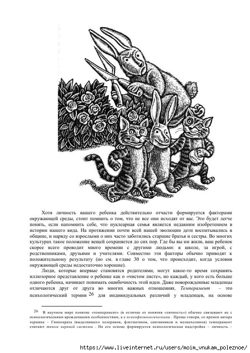 S_Amodt_S_Vong_Kak_razvit_mozg_rebyonka_chtoby_on_stal_umnym_i_uspeshnym_114 (494x700, 223Kb)