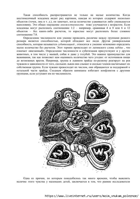 S_Amodt_S_Vong_Kak_razvit_mozg_rebyonka_chtoby_on_stal_umnym_i_uspeshnym_154 (494x700, 224Kb)