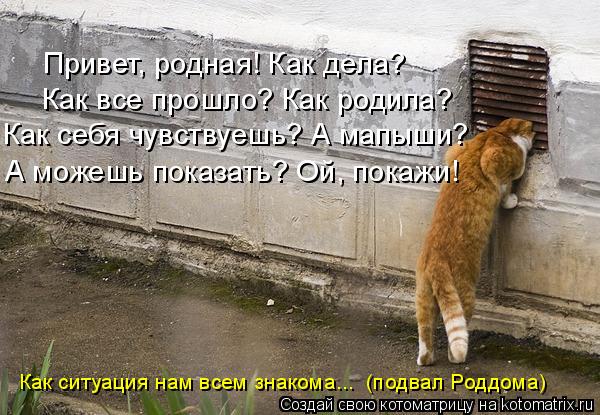 4743317_kotomatritsa_3 (600x415, 68Kb)