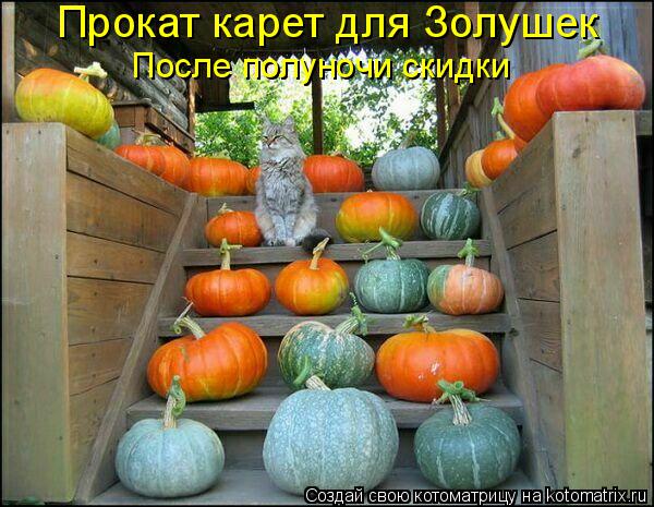4743317_kotomatritsa_G (600x465, 66Kb)