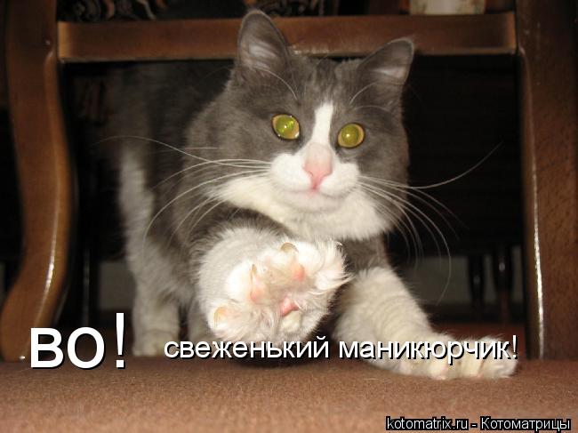4743317__r (650x487, 41Kb)