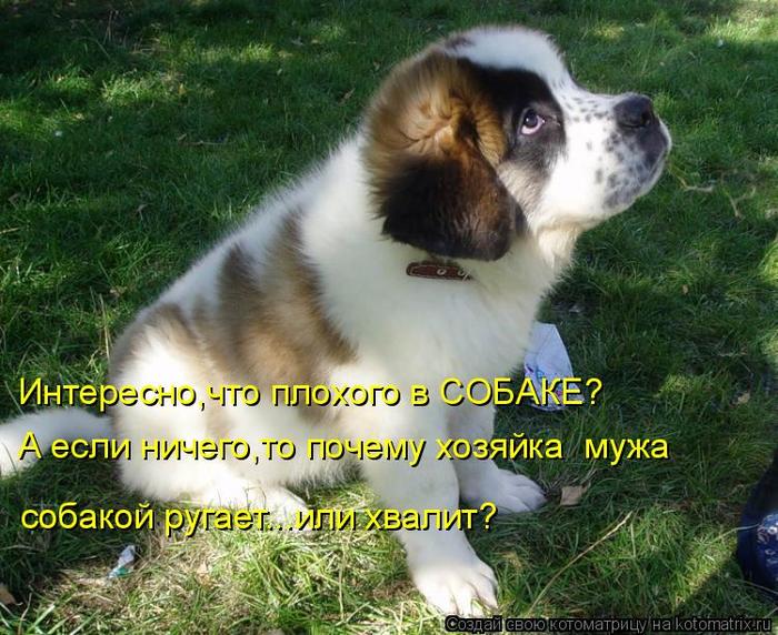 4743317_kotomatritsa_d (700x572, 87Kb)