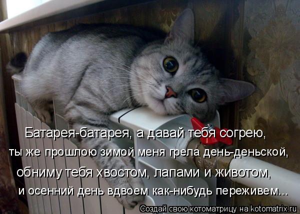 4743317_kotomatritsa_c_1_ (600x429, 48Kb)