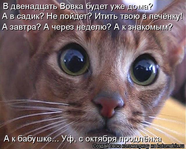 4743317_kotomatritsa_Q_jpge (640x512, 65Kb)