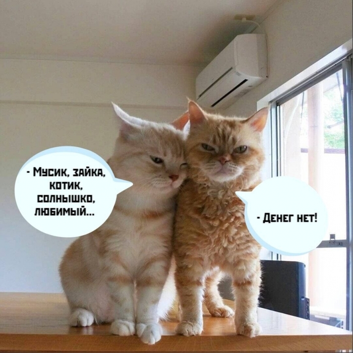 4743317_i_jpgit (700x700, 272Kb)