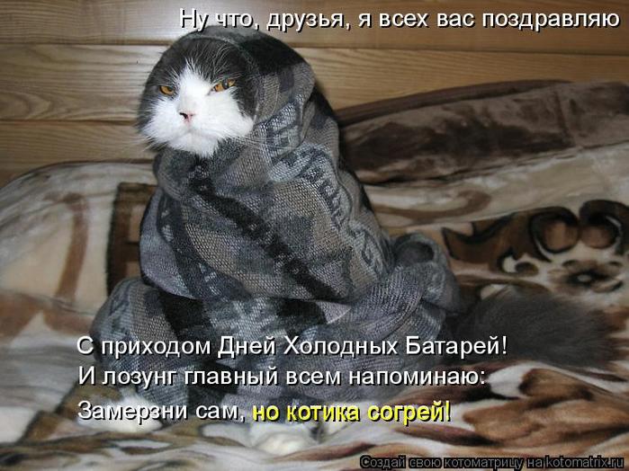 4743317_kotomatritsa_U (700x524, 70Kb)