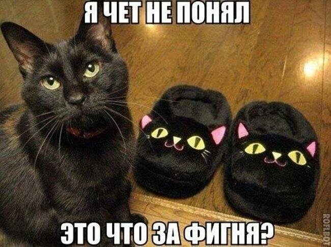 4743317_i_jpgpav (650x486, 76Kb)