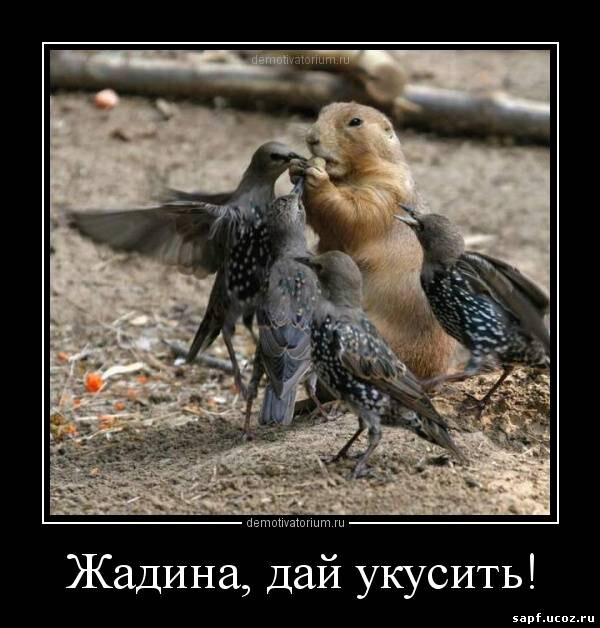4743317_i_jpgrrpe (600x628, 77Kb)