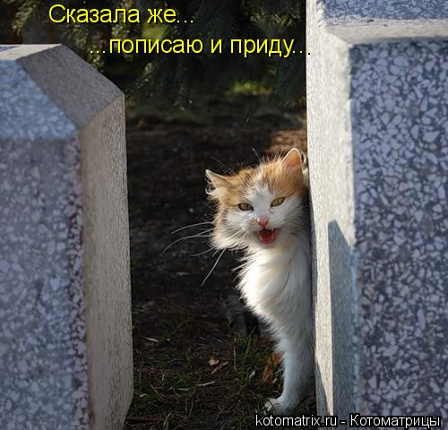 4743317_Kl (500x480, 46Kb)