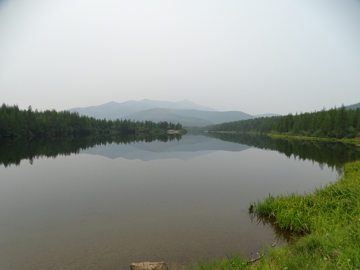 DSC00591 (700x525, 250Kb)
