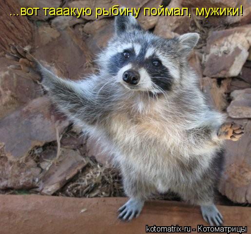 4743317_eL7 (515x480, 47Kb)