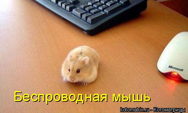 4743317_a (599x362, 36Kb)