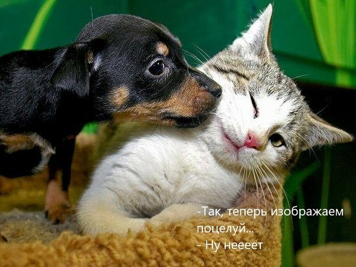 4743317_i_jpgore (700x525, 105Kb)