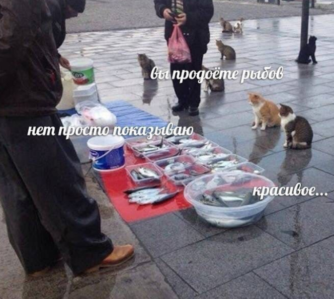  (672x601, 916Kb)