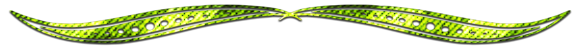 яя-зеленый (580x48, 62Kb)