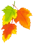 0_ca920_2e24569c_S_yapfiles.ru (113x150, 44Kb)
