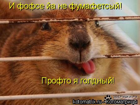 4743317_Bd (450x337, 31Kb)