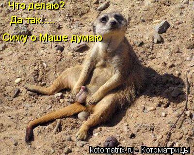 4743317_Zf (400x320, 47Kb)