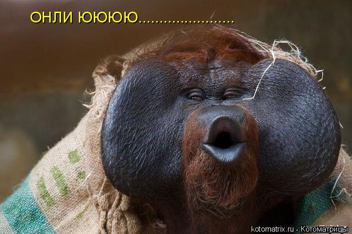 4743317_8l (700x466, 59Kb)