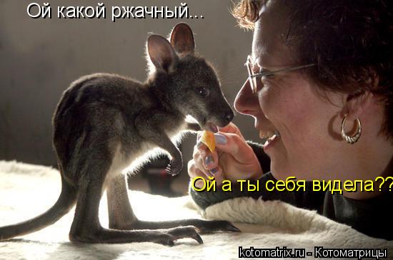 4743317_jd (550x365, 33Kb)