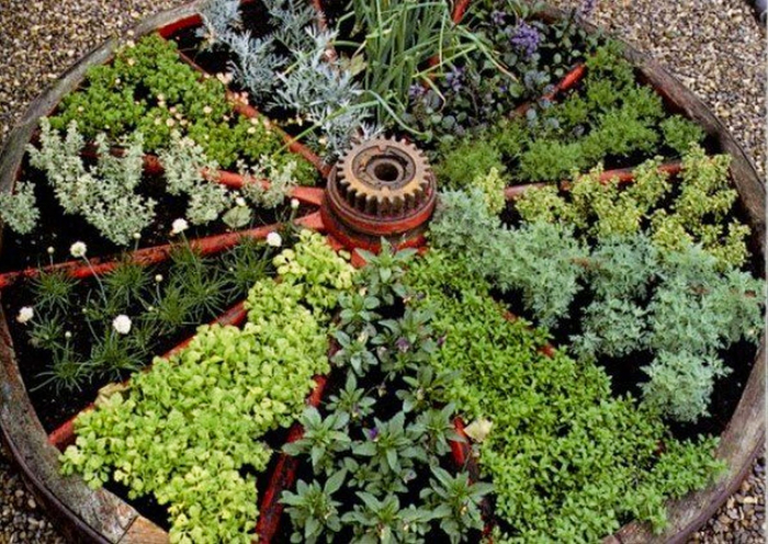 herb garden -- harfay (700x496, 487Kb)