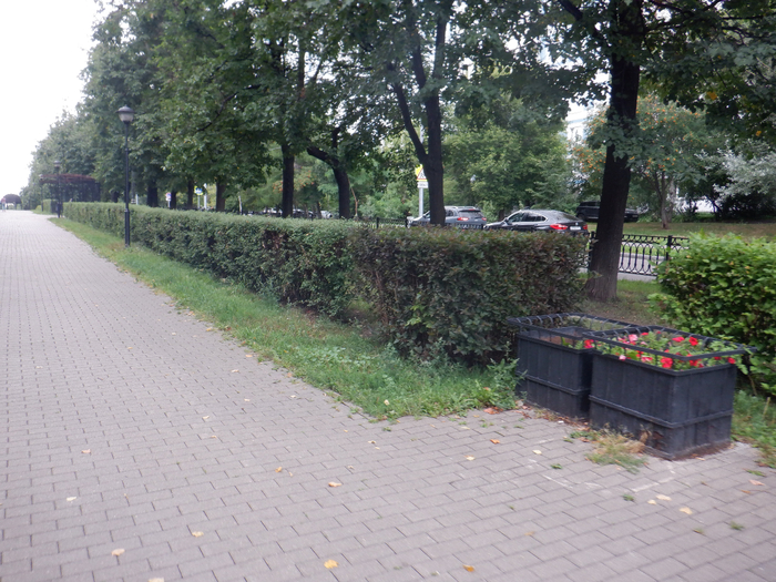 DSCF7786 (700x525, 497Kb)