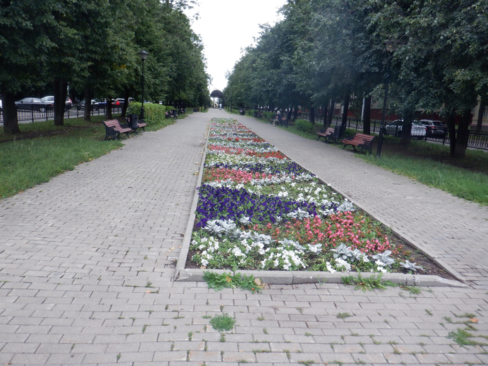 DSCF7813 (700x525, 504Kb)