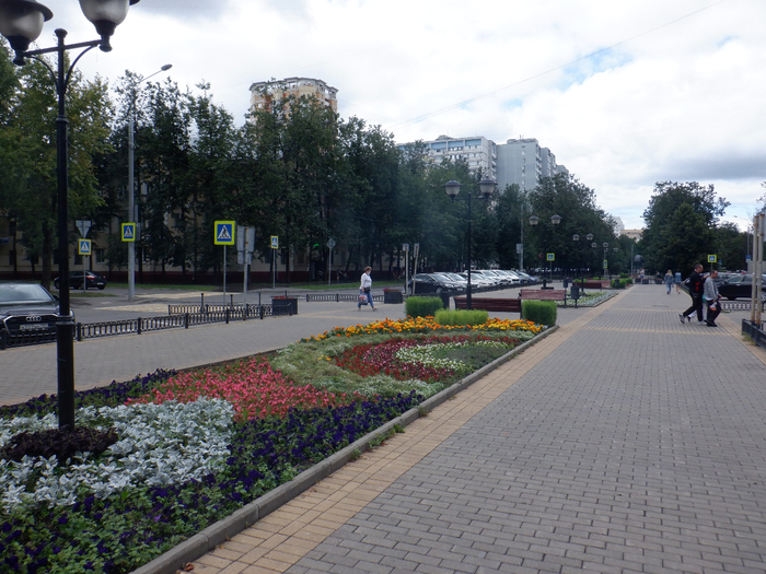 DSCF7818 (700x525, 471Kb)