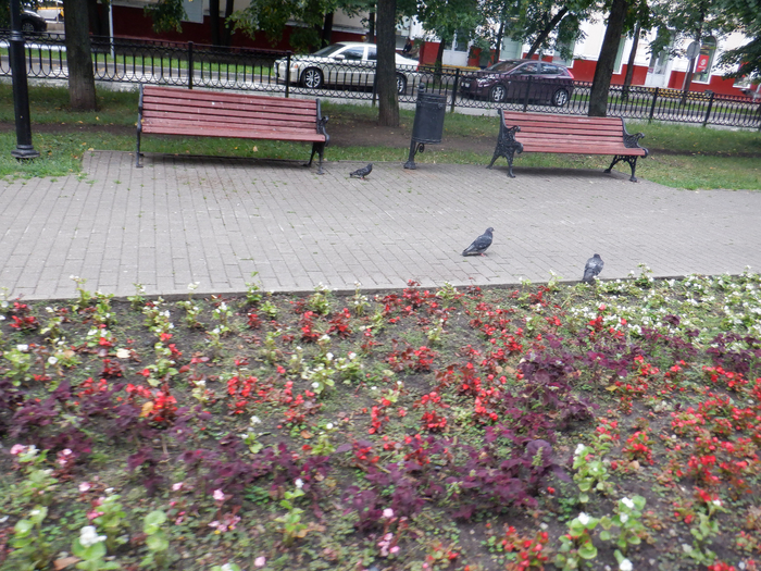 DSCF7834 (700x525, 584Kb)