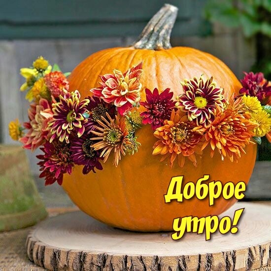 4743317_image20191017 (550x550, 90Kb)