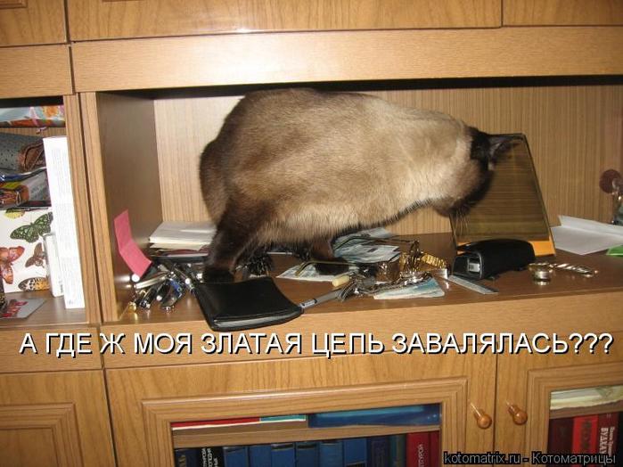 4743317_hD (700x524, 61Kb)