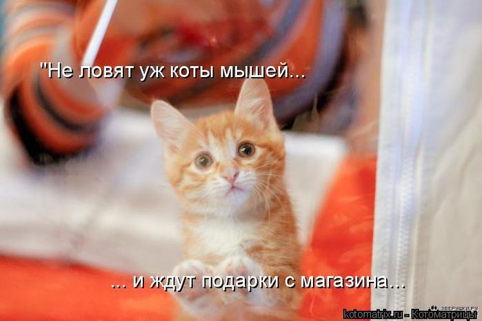 4743317_ld (700x466, 35Kb)