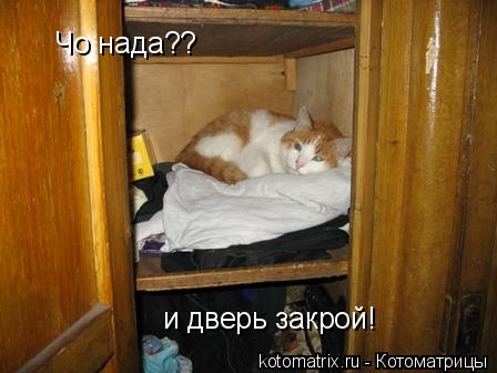 4743317_qJ (448x336, 26Kb)