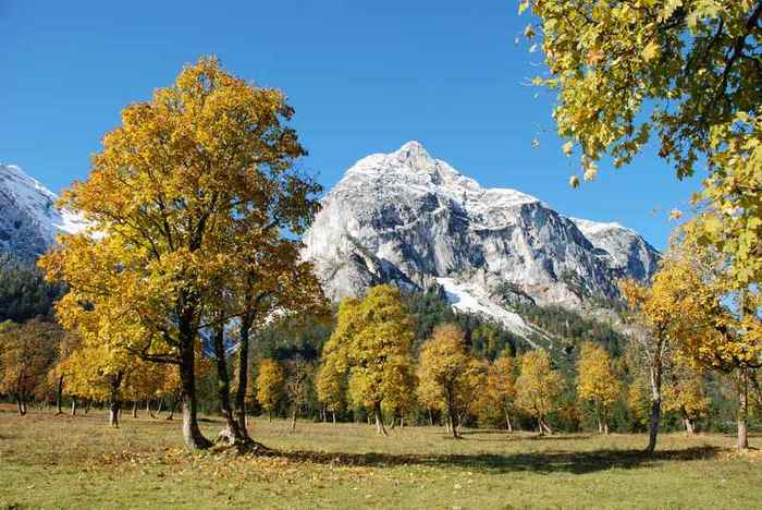 Herbstfaerbung_Ahornboden (900x668, 51Kb)