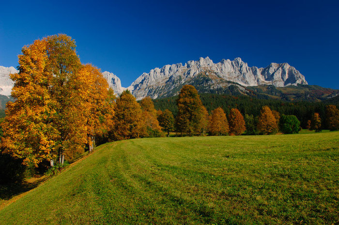 bunter-blätterwald-im-herbst-wandersaison-in-tirol (900x665, 145Kb)