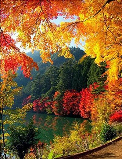 2019-landscape-autumn-mountain-lake-picture-diy-5d-crystal-diamond-painting-kits-vm20027-australia_grande (445x700, 61Kb)