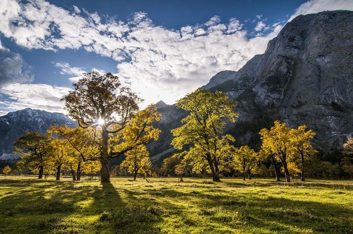 die-schoensten-wanderungen-und-ausfluege-im-herbst (900x665, 98Kb)