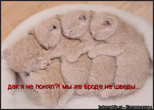 4743317_5E (600x430, 44Kb)