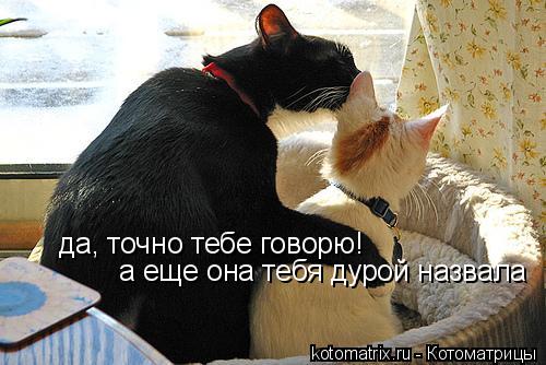 4743317_4U (500x334, 38Kb)