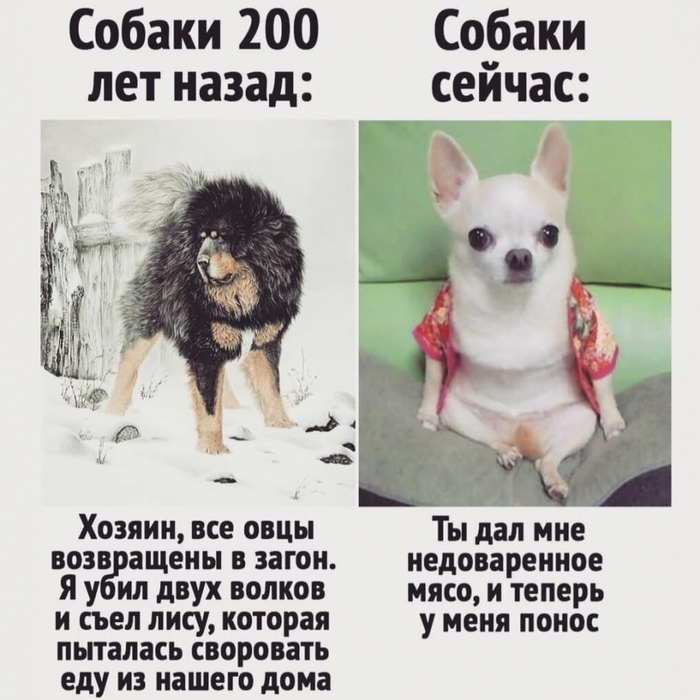 4743317_i_jpgshz (700x700, 262Kb)