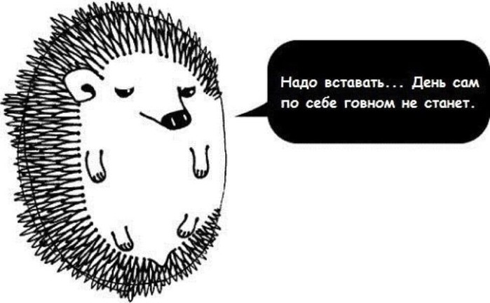 4743317_i_jpgky (700x432, 52Kb)